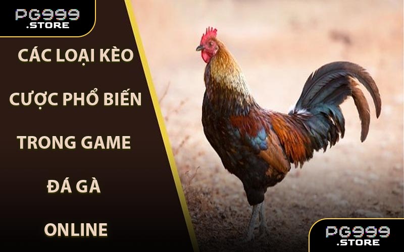 Các loại kèo cược phổ biến trong game đá gà online