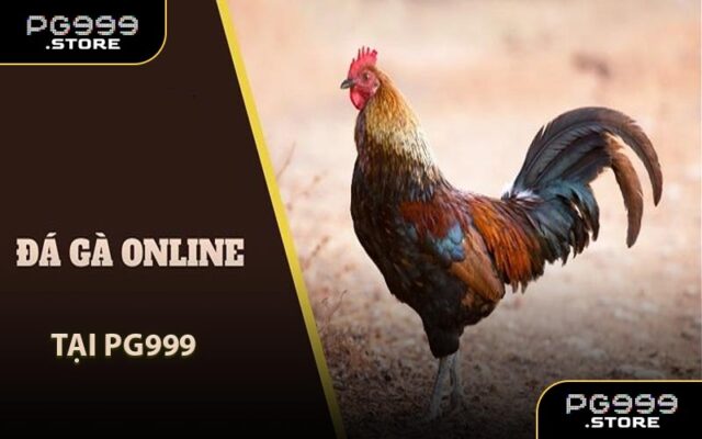 Đá Gà Online