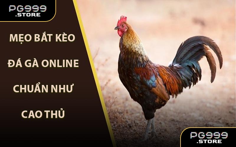 Mẹo Bắt Kèo Đá Gà Online Chuẩn Như Cao Thủ