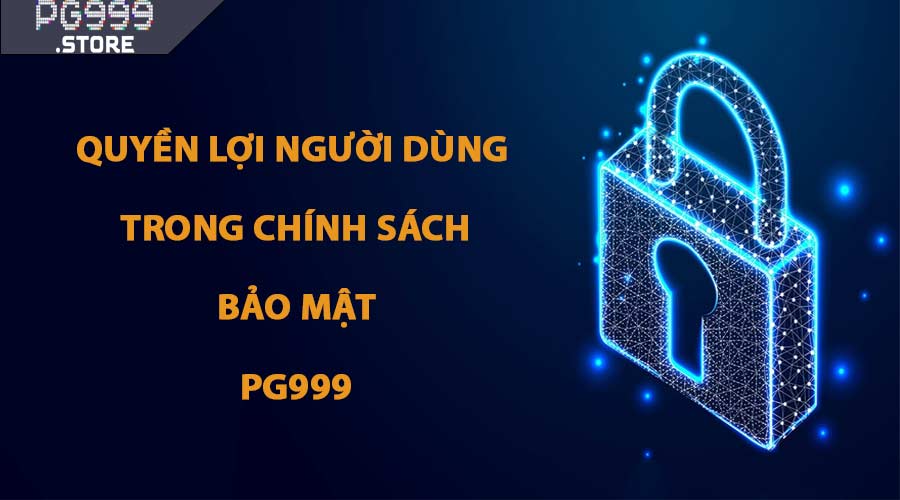 Quyền lợi người dùng trong Chính Sách Bảo Mật PG999