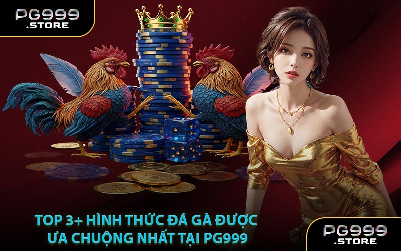 Top 3+ Hình Thức Đá Gà Được Ưa Chuộng Nhất Tại PG999