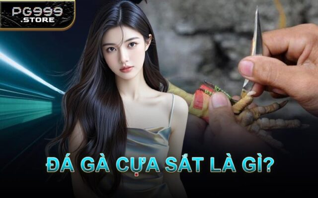 Đá Gà Cựa Sắt Là Gì?