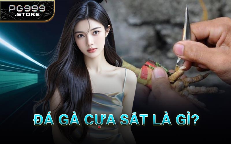 Đá Gà Cựa Sắt Là Gì?