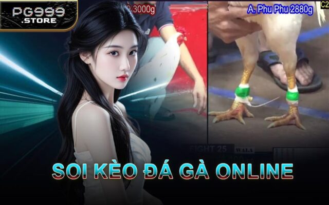 Soi Kèo Đá Gà Online