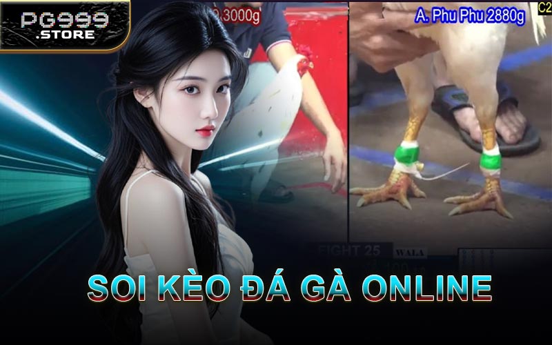 Soi Kèo Đá Gà Online