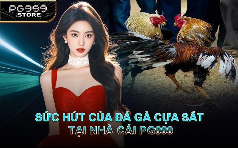 Sức Hút Của Đá Gà Cựa Sắt Tại Nhà Cái PG999