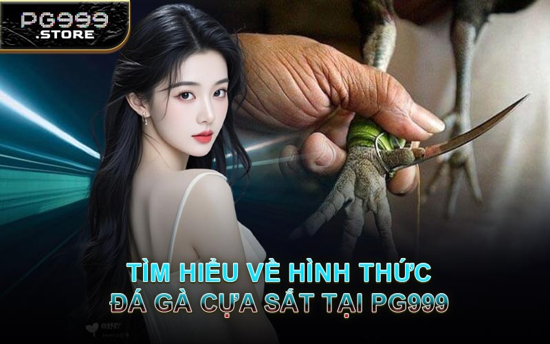 Tìm Hiểu Về Hình Thức Đá Gà Cựa Sắt Tại PG999