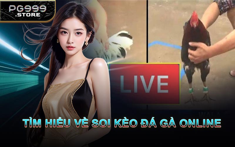 Tìm Hiểu Về Soi Kèo Đá Gà Online