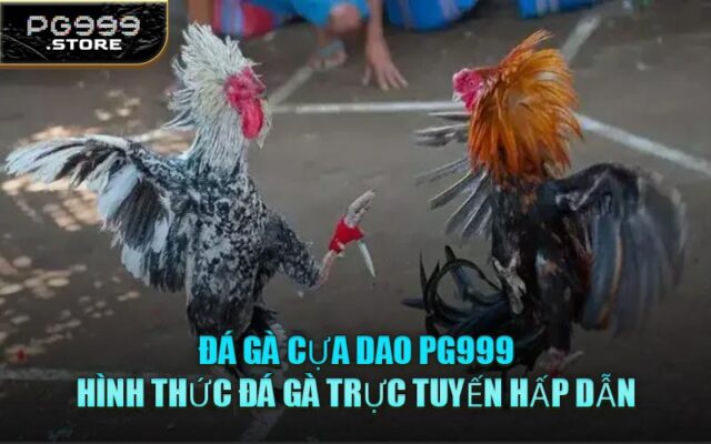 Đá Gà Cựa Dao PG999 – Hình Thức Đá Gà Trực Tuyến Hấp Dẫn