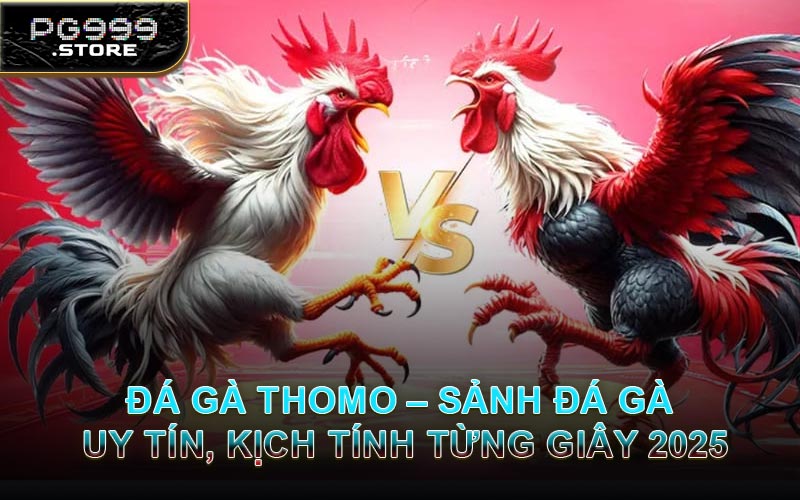 Đá Gà Thomo – Sảnh Đá Gà Uy Tín, Kịch Tính Từng Giây 2025