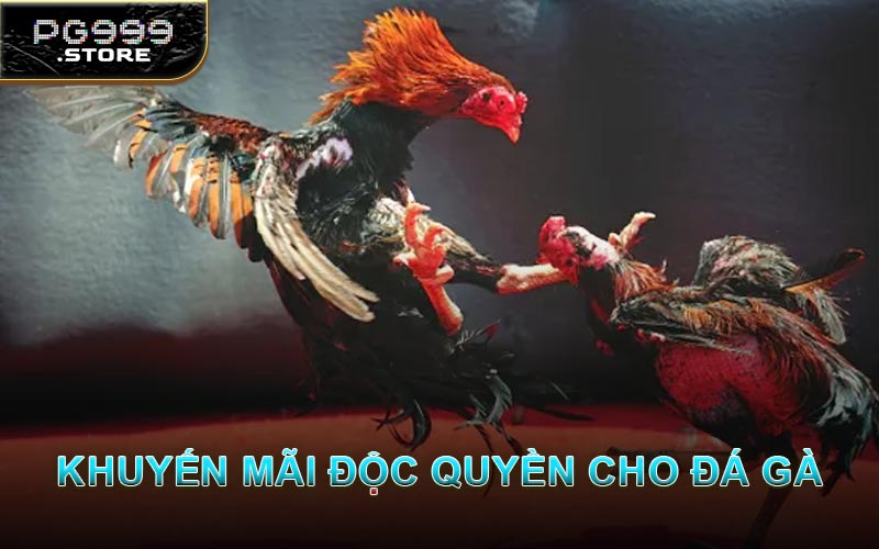 Khuyến Mãi Độc Quyền Cho Đá Gà