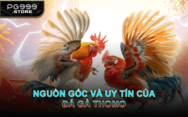 Nguồn Gốc Và Uy Tín Của Đá Gà Thomo