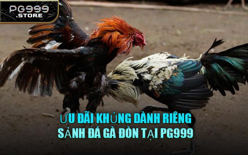 Ưu Đãi Khủng Dành Riêng Sảnh Đá Gà Đòn Tại PG999