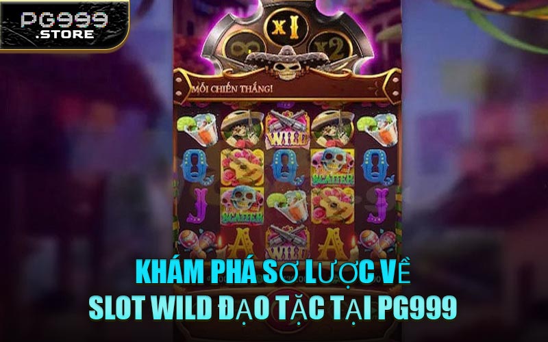 Khám Phá Sơ Lược Về Slot Wild Đạo Tặc Tại PG999