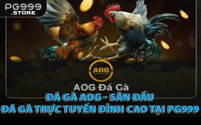 Đá Gà AOG - Sân Đấu Đá Gà Trực Tuyến Đỉnh Cao Tại PG999