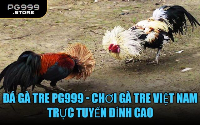 Đá Gà Tre PG999 - Chơi gà tre Việt Nam trực tuyến đỉnh cao