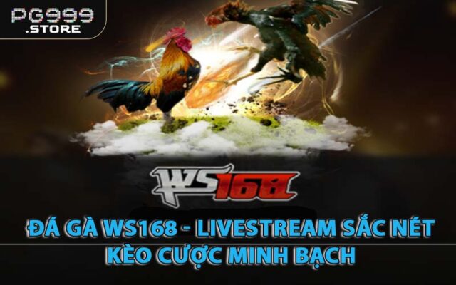 Đá Gà WS168 - Livestream Sắc Nét, Kèo Cược Minh Bạch