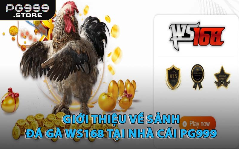 Giới Thiệu Về Sảnh Đá Gà WS168 Tại Nhà Cái PG999