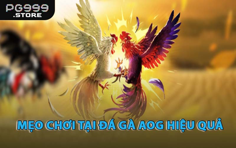 Mẹo Chơi Tại Đá Gà AOG Hiệu Quả