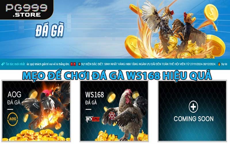 Mẹo Để Chơi Đá Gà WS168 Hiệu Quả