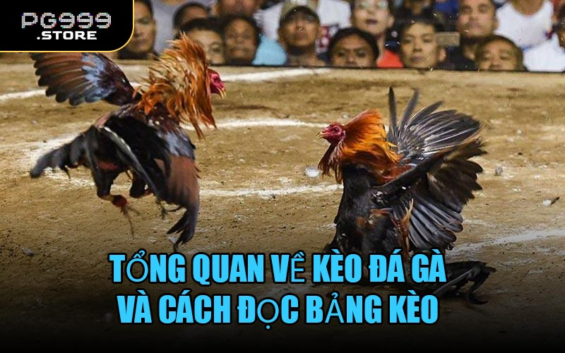 Tổng quan về kèo đá gà và cách đọc bảng kèo