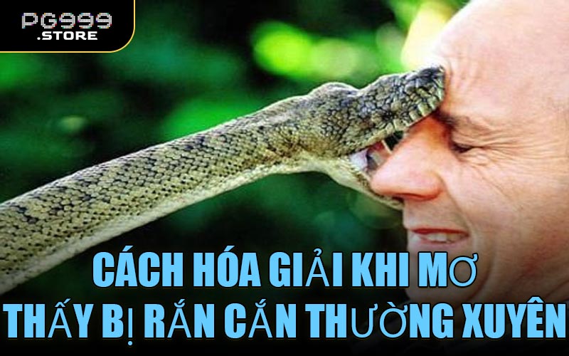 Cách hóa giải khi mơ thấy bị rắn cắn thường xuyên