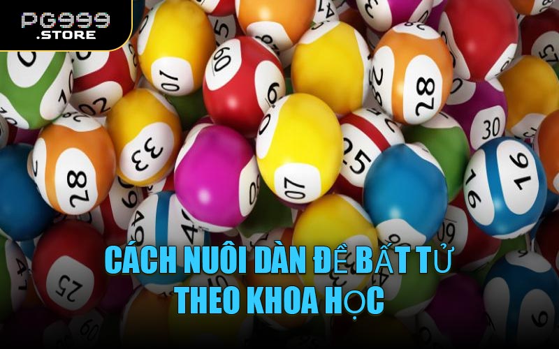 Cách nuôi dàn đề bất tử theo khoa học