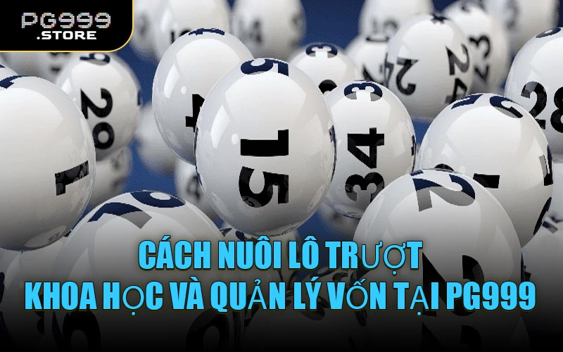 Cách nuôi lô trượt khoa học và quản lý vốn tại PG999