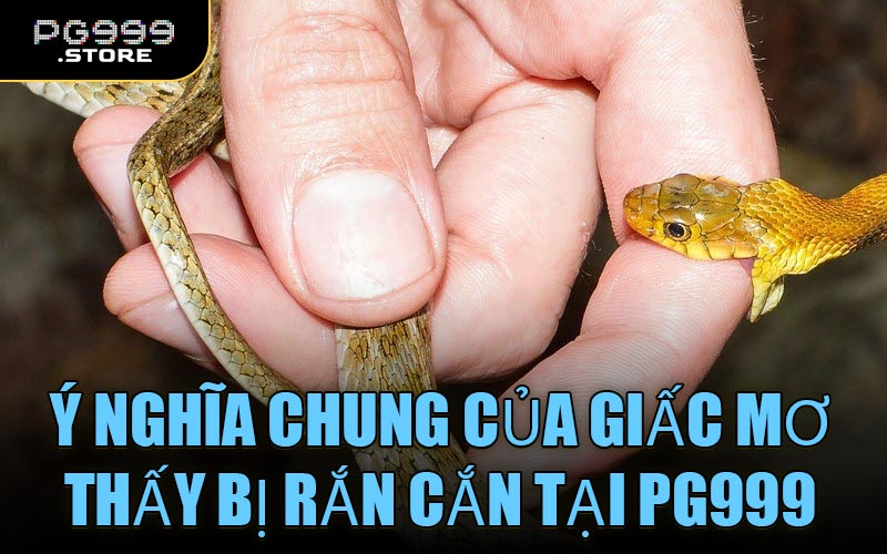 Ý nghĩa chung của giấc mơ thấy bị rắn cắn tại PG999